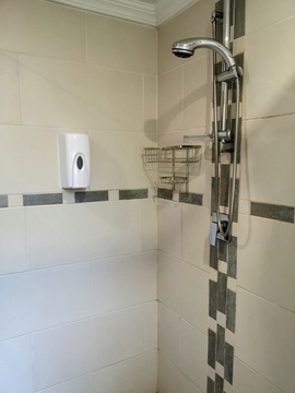 Frangipani - Bathroom shower